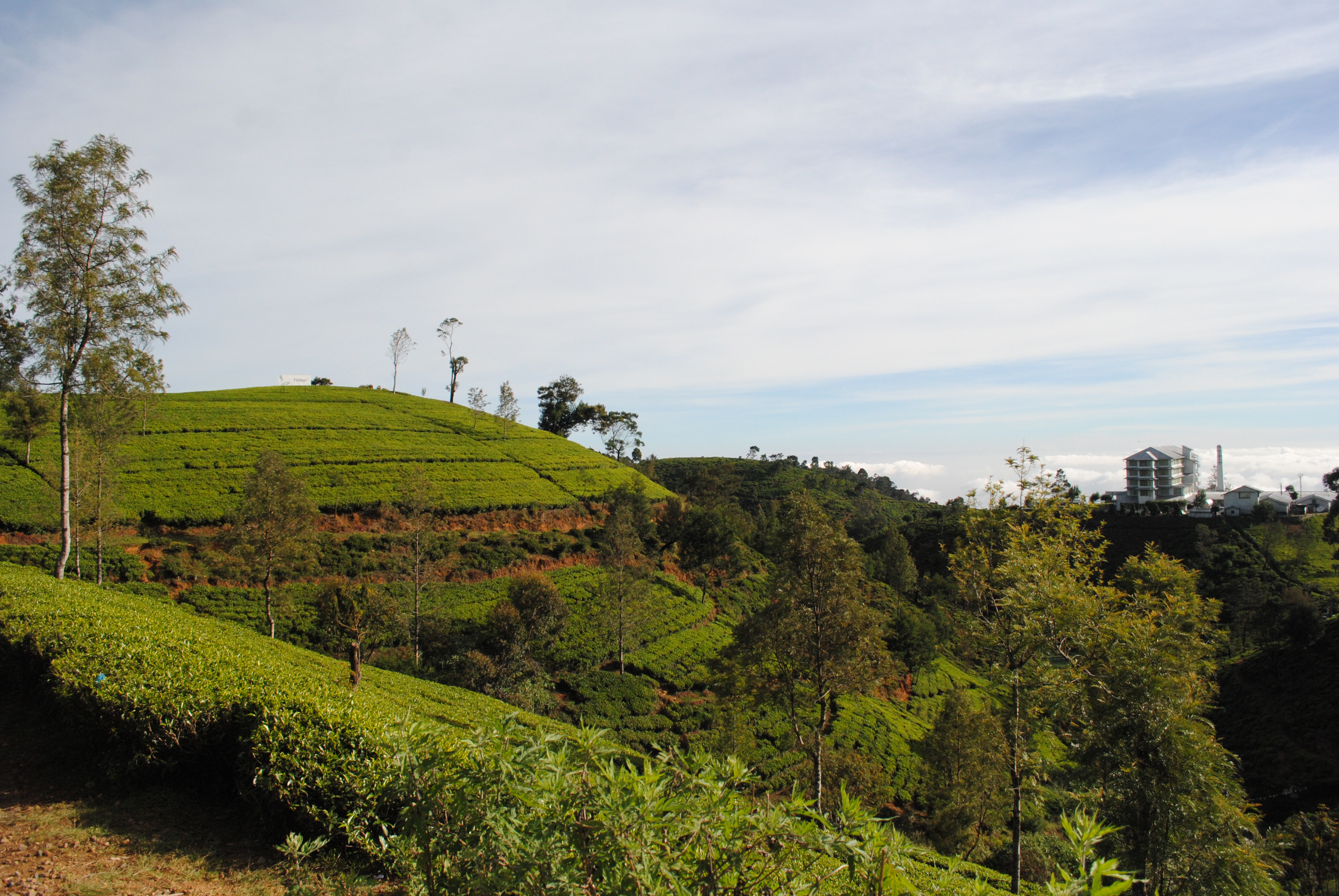 Nuwara Elliya